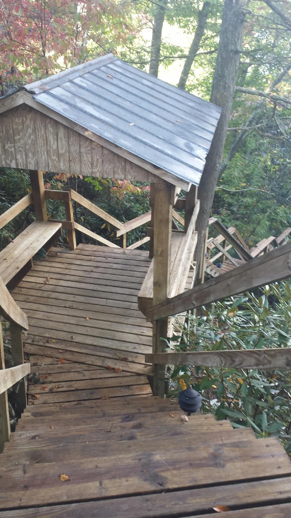 Metal roofed shelter over wooden steps on a wooded walkway in Spencer